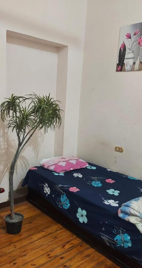 Grand Safari Hostel Kair Zewnętrze zdjęcie